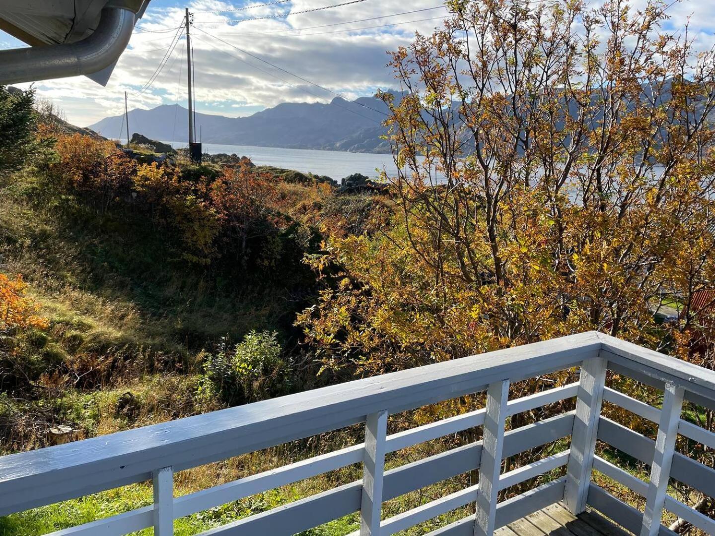Vettinghytta, Close To The Sea With Amazing View. Gravdal  Dış mekan fotoğraf